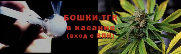 мдпв Горняк