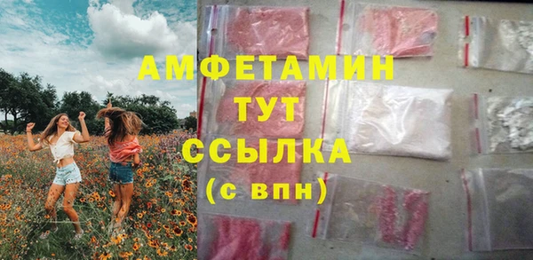 мдпв Горняк