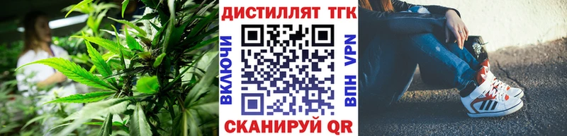 shop как зайти  Подпорожье  ТГК вейп с тгк 
