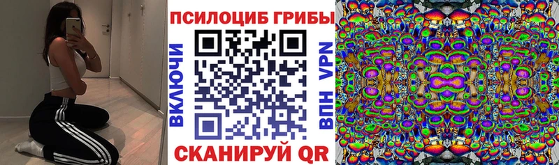 Псилоцибиновые грибы GOLDEN TEACHER  купить закладку  Подпорожье 
